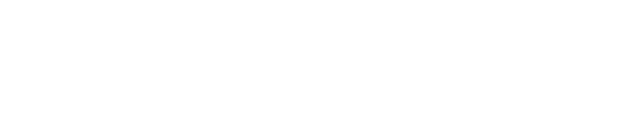 Karlshochschule International University logo